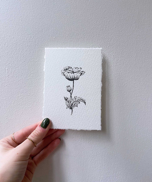 Poppy Study #21