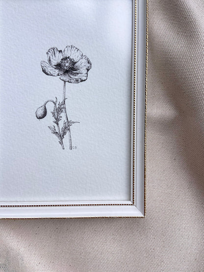 Signed Poppy Print in White Vintage Frame